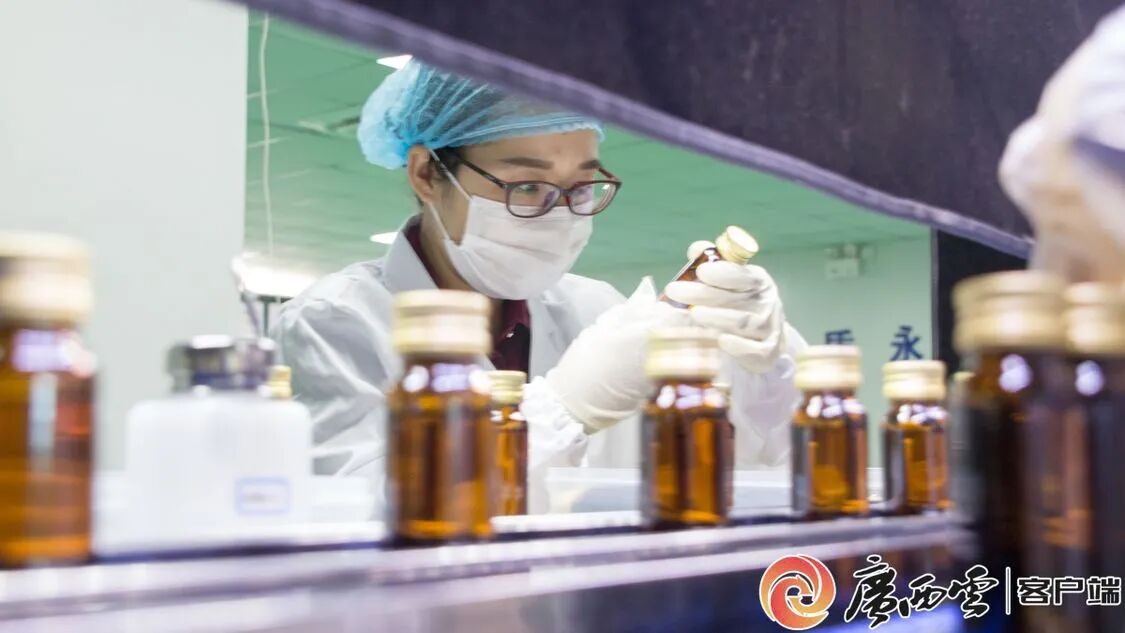 廣西日報聚焦天緣綠：從產(chǎn)品創(chuàng)新到行業(yè)標準，引領(lǐng)芭蕉健康產(chǎn)業(yè)升級